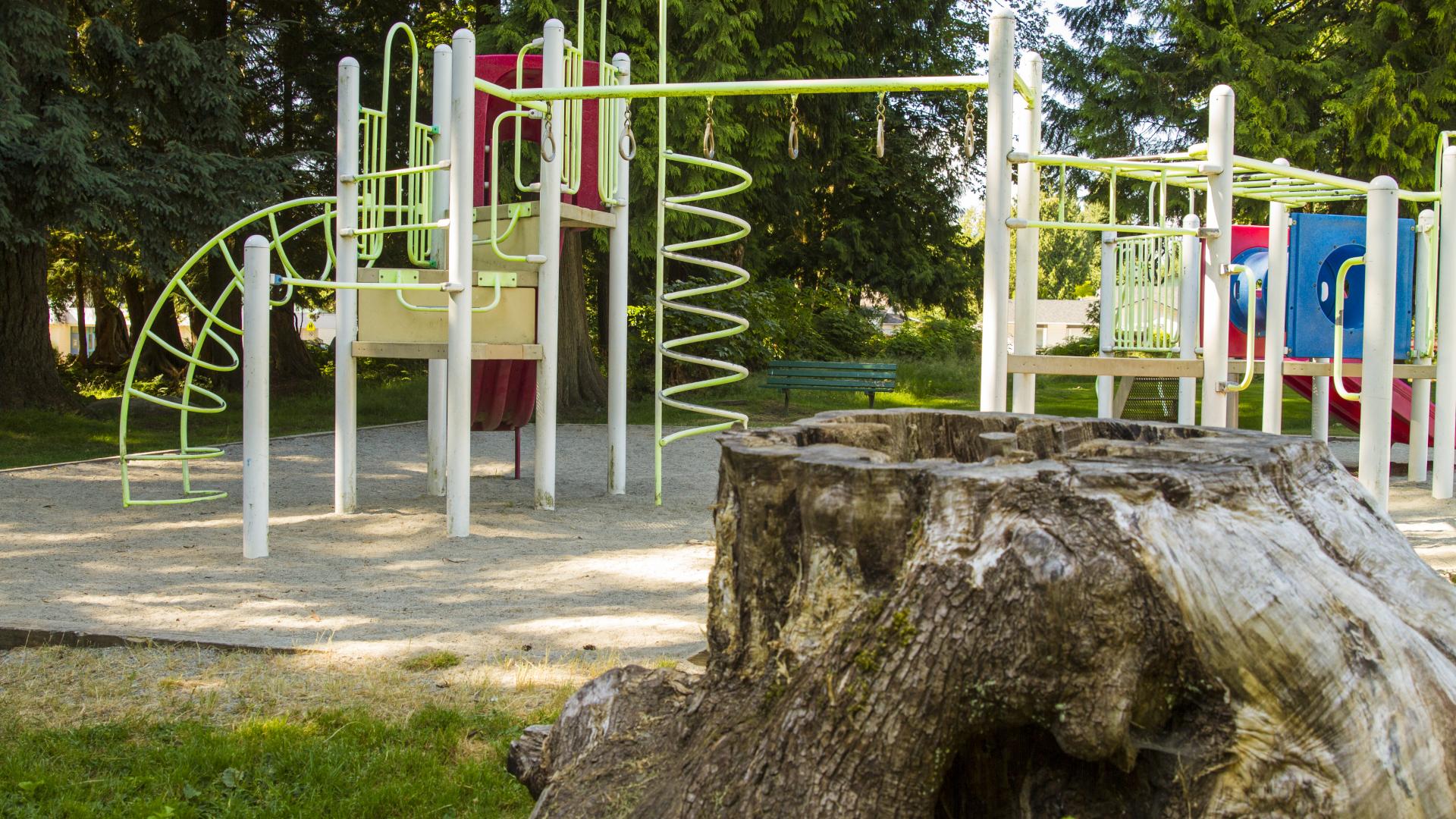 A large stump in the grass surrounding a playground.